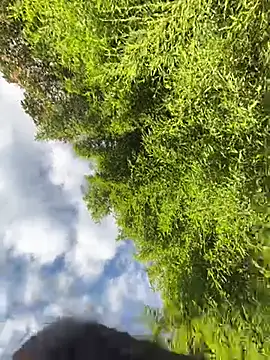 VioletaSubmissive online show from April 20, 2026, 10:11 pm