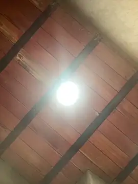 MollySanders    online show from December 13, 2025, 10:59 pm