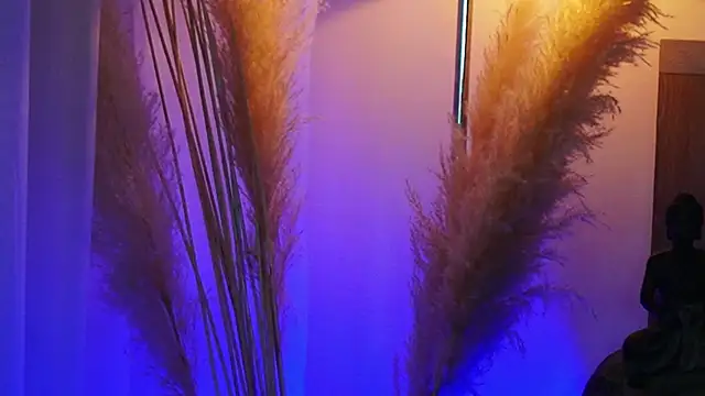 Snapshot of AliceShazaham_ chatting on September 12, 2025, 7:08 am AliceShazaham online show from September 12, 2025, 7:08 am