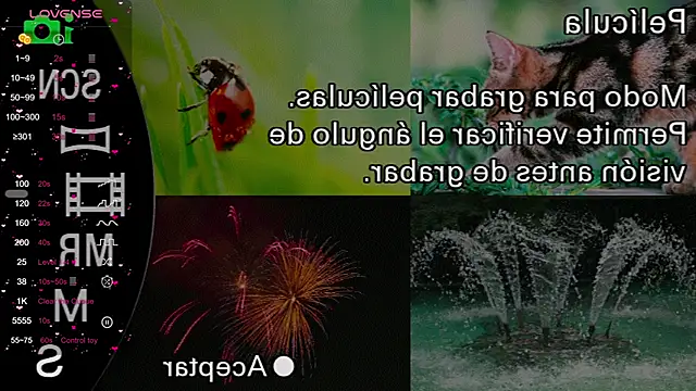 milly kenner online show from December 11, 2024, 4:53 pm