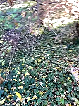 Snapshot of Lucascacaca chatting on December 4, 2024, 2:04 pm Lucascacaca online show from December 4, 2024, 2:04 pm