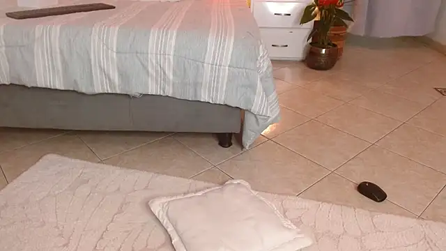 Snapshot of Tommyfoxboy chatting on February 9, 2025, 4:50 pm Tommyfoxboy online show from February 9, 2025, 4:50 pm