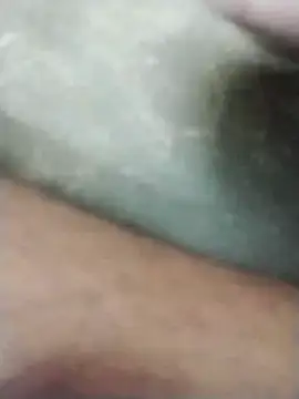 polamvariya online show from November 20, 2025, 10:04 am