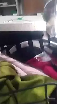 Snapshot of 6MataGarcia chatting on December 17, 2024, 1:50 am 6MataGarcia online show from December 17, 2024, 1:50 am