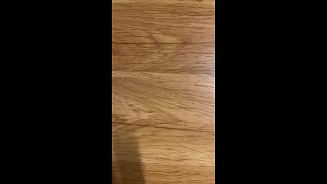 Hungry  Puppy online show from April 8, 2026, 10:10 pm