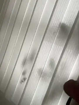 derFickerali online show from January 23, 2025, 1:13 pm