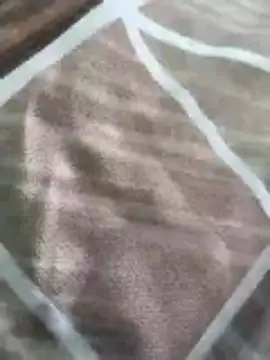 Snapshot of rohitlov150 chatting on March 16, 2026, 10:19 am rohitlov150 online show from March 16, 2026, 10:19 am