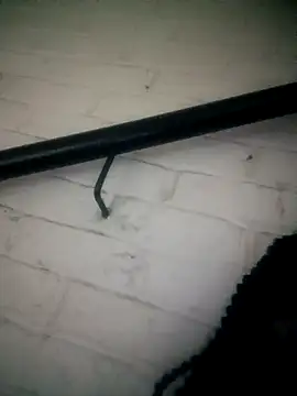 Snapshot of Shria107 chatting on February 20, 2026, 11:49 pm Shria107 online show from February 20, 2026, 11:49 pm