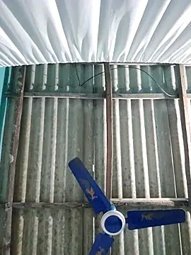 hotbaby 5 online show from November 26, 2025, 1:12 pm