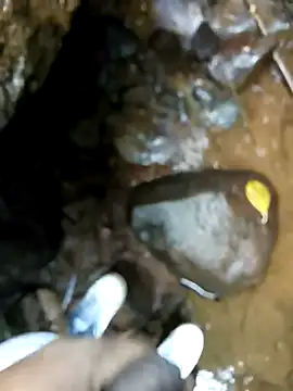 dpkpaksudda online show from September 24, 2025, 7:12 am