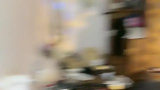 Snapshot of Fairy-HF chatting on December 7, 2024, 1:51 pm Fairy-HF online show from December 7, 2024, 1:51 pm