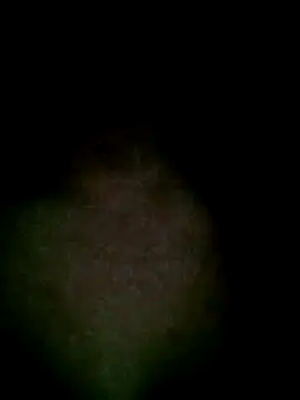 Snapshot of Kasandra02 chatting on March 1, 2025, 6:46 am Kasandra02 online show from March 1, 2025, 6:46 am