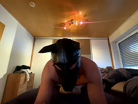 Snapshot of PlayDog123 chatting on January 11, 2026, 1:49 pm PlayDog123 online show from January 11, 2026, 1:49 pm
