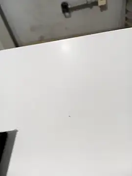 lobomisterioso13 online show from December 16, 2024, 7:48 am