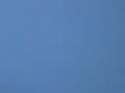 ToonyDee online show from January 13, 2025, 5:55 am