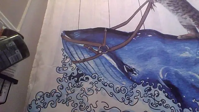 clitstitsandbongrips online show from September 16, 2025, 6:03 am