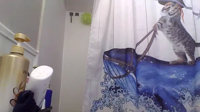 clitstitsandbongrips online show from November 25, 2025, 3:17 am