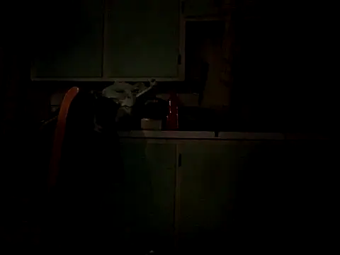 Snapshot of Frankdick01 chatting on October 4, 2025, 5:05 am Frankdick01 online show from October 4, 2025, 5:05 am