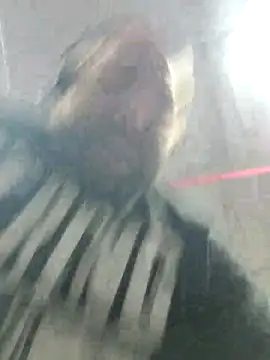 Snapshot of Strong_Bear89 chatting on December 2, 2024, 3:04 am Strong Bear89 online show from December 2, 2024, 3:04 am