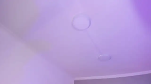 AmberiniHoffman online show from January 17, 2025, 5:41 pm