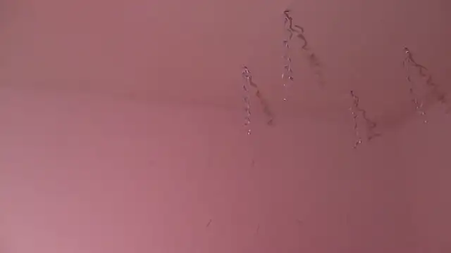 Miss oliviaa online show from January 3, 2025, 11:01 pm