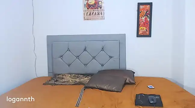 Snapshot of logannth chatting on January 4, 2025, 2:56 am logannth online show from January 4, 2025, 2:56 am