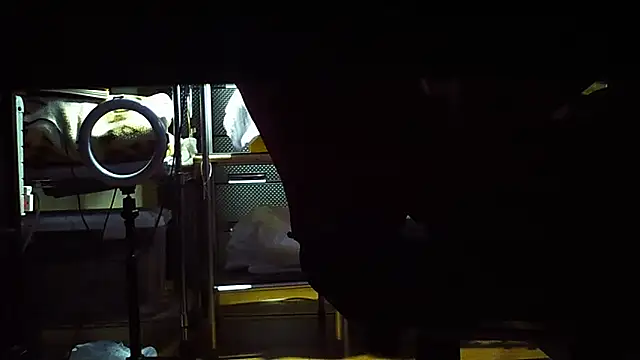 Snapshot of qoooqing67 chatting on December 15, 2024, 6:18 am qoooqing67 online show from December 15, 2024, 6:18 am