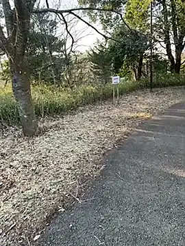 Hideen-real-face online show from February 18, 2026, 6:53 am