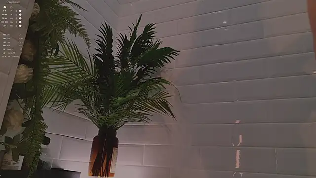 Snapshot of MichaellaMoon chatting on December 3, 2025, 2:15 pm MichaellaMoon online show from December 3, 2025, 2:15 pm