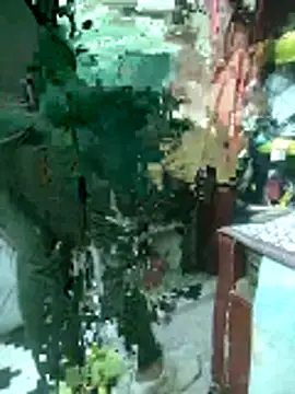 ShelfyOfferer online show from March 3, 2026, 9:15 am