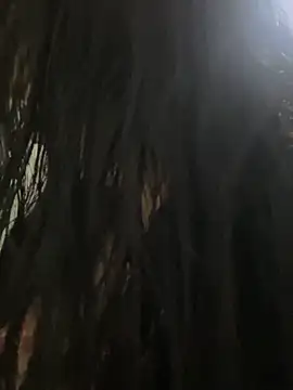 eva sexx69 online show from March 13, 2026, 12:12 pm