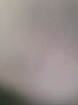 Snapshot of PunchedNorvasc chatting on December 4, 2025, 9:18 am PunchedNorvasc online show from December 4, 2025, 9:18 am