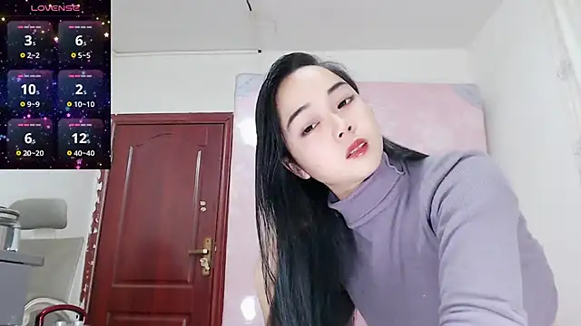 baoer-558 online show from December 29, 2024, 11:18 am