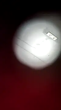 Snapshot of Bangarupapa chatting on February 24, 2025, 3:02 am Bangarupapa online show from February 24, 2025, 3:02 am