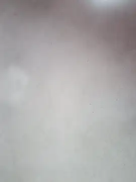 Snapshot of _violetta_- chatting on October 12, 2025, 12:59 pm violetta - online show from October 12, 2025, 12:59 pm