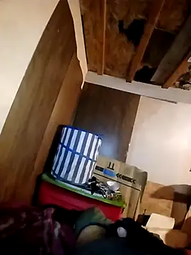 beliqi online show from November 15, 2025, 5:49 am