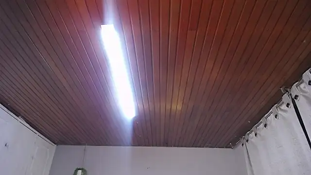 Snapshot of Scarllett_BDSM chatting on November 29, 2025, 5:10 am Scarllett BDSM online show from November 29, 2025, 5:10 am