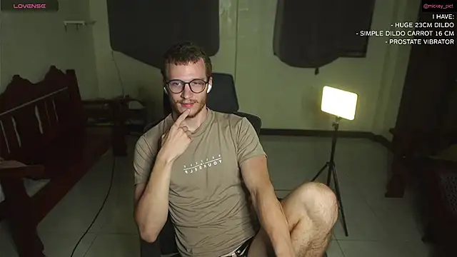 Snapshot of mickeypict chatting on December 8, 2024, 1:03 pm mickeypict online show from December 8, 2024, 1:03 pm