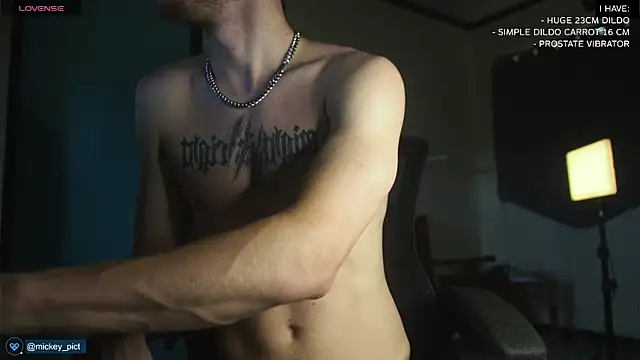 Snapshot of mickeypict chatting on December 16, 2024, 2:47 am mickeypict online show from December 16, 2024, 2:47 am