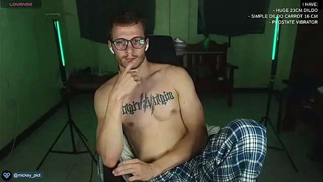 Snapshot of mickeypict chatting on December 25, 2024, 9:34 am mickeypict online show from December 25, 2024, 9:34 am