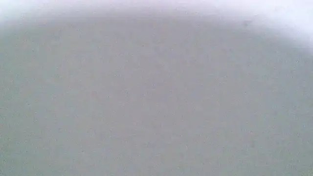 sexy diamante  online show from March 20, 2026, 3:55 am