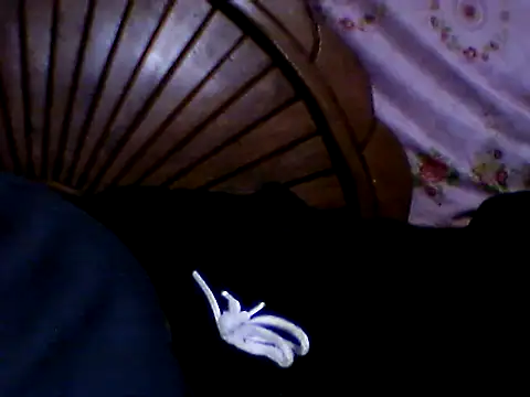 penesillo79 online show from November 21, 2025, 3:05 am