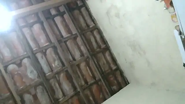 pornstarbrezillian online show from October 16, 2025, 7:59 pm