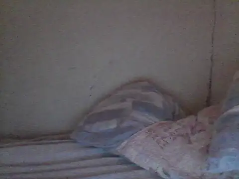 pornstarbrezillian online show from November 13, 2025, 12:48 pm