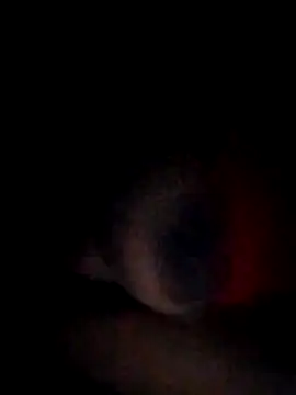 pornstarbrezillian online show from November 15, 2025, 4:54 am