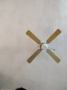 FreakySag 8888 online show from March 10, 2025, 2:06 am