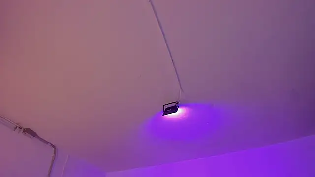 Amy Kiitty  online show from January 7, 2026, 12:40 pm