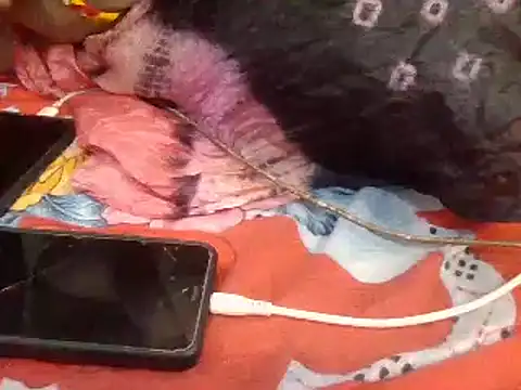 naina-80 online show from January 13, 2025, 7:43 am