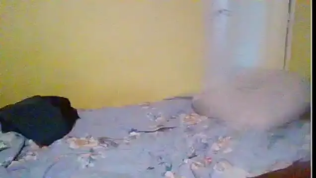 Regularfucker28 online show from April 23, 2026, 5:37 pm