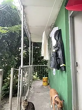 Jestebanano online show from February 4, 2026, 7:42 pm